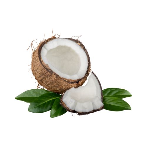 Endosperma_de_Coco_Ingrediente_Natural_Mipelazo